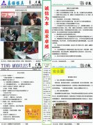 2021年泰诺TINO第5期月报